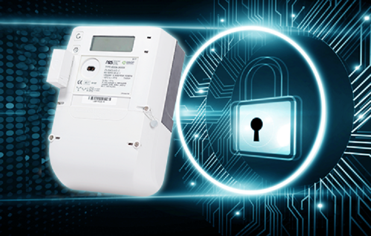 Smart Meter Security Testing